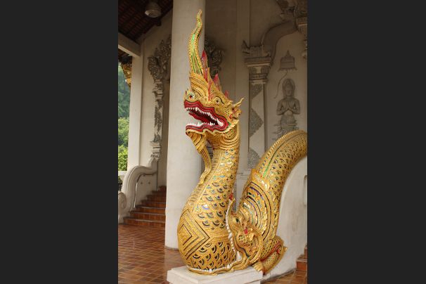 Draak